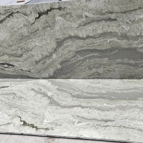 Sea Shell